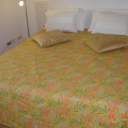 Direkt Am Rhein Apartment Sasbach am Kaiserstuhl