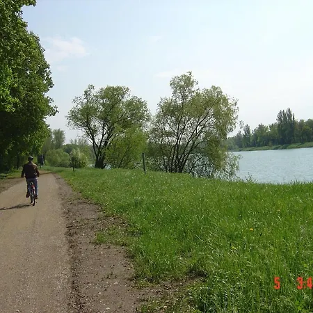 Direkt Am Rhein Apartment